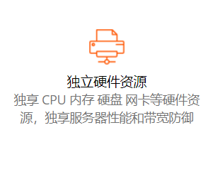 美国E5 - 2630*2, 32G内存, 1T SSD磁盘, 5+253 IPs的8C站群物理机仅200U一个月